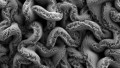Stretchable Supercapacitors for the Next Stage of Wearables