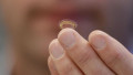 Could These Wearables Save Lives?