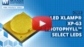 CREE LED XLamp® XP-G3 Photophyll™ Select LEDs | New Product Brief