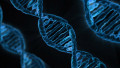 Gold-Coated DNA Nanowires Could Power Genetic Computing