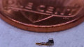 “Neural Dust” Sensors Could Lead to Implantable Wearables