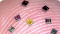 Teamwork Makes Tiny Implantable Brain-connected Interface Sensors a Reality