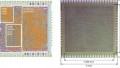 Flexible Processors? Arm and PragmatIC Push Flexible Electronics Up A Level