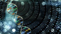 These Analog DNA Computers Could Potentially Stop Cancer