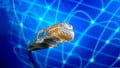 Websites Every Electrical Engineer Should Be Visiting