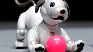 Paro and AIBO Robots Offer Human-Digital Companionship