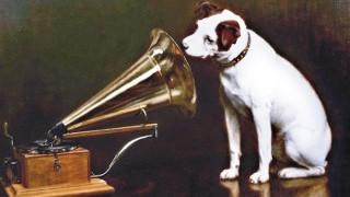 My 40-Year Love Affair with a Remarkable Amplifier—A Class B Amplifier for Audiophiles