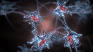 Quantum Memristors Combine AI and Quantum Computing