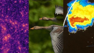Artificial Neural Network Roundup: How ANNs Are Changing the Way We Research (and Engineer)