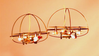 Swarms of Bees Inspire New Motion Planning in Robotics