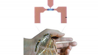 Bioelectronic Transistors: Enabling a New Range of Capabilities With Biocompatible Electronics
