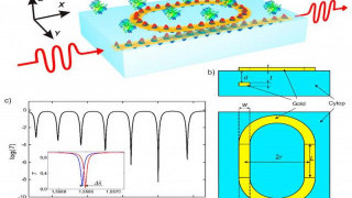 Biosensor Sensitivity Enhanced Considerably by Moscow Institute Physicists
