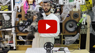 Raspberry Pi Object Detection Cat Toy