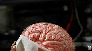 How Brain-Inspired Hardware Is Learning to Scale