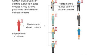 Governments and Tech Giants Face-Off on Contact Tracing: Centralized or Decentralized Data Storage?