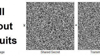 The Diffie-Hellman Exchange in Embedded Cryptography