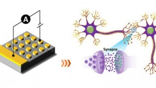 Interface-type Memristive Device Pushes Neuromorphic Computing Onward