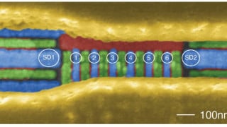 Research Efforts Signal Next Steps for Quantum Processor Evolution