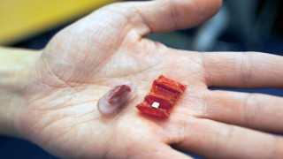 Programmable Matter in Medical Technology: The Origami Robot Made of Meat