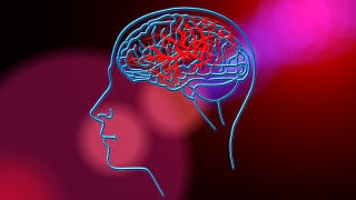 Tracking Every Neuron: The Future of Medical Research Lies in Processing Time