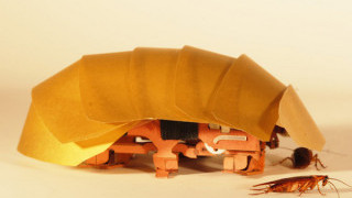 Robotic Cockroaches to Aid in Search and Rescue