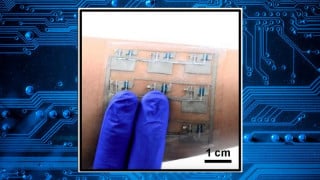 Rubber CMOS Brings Stretchable ‘Sensory Skin’ Closer to Reality