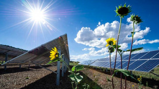 Solar Materials of the Future are Great on Performance. But What About Toxicity?