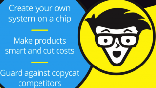 Custom Chips for Dummies