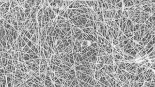 Time to Get Excited About These New Developments with Nanowires