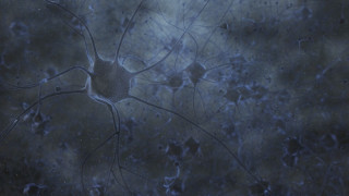 How Elon Musk’s Neuralink and Bryan Johnson’s Kernal Are Bridging the Biological-Digital Gap