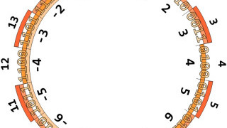 Two’s Complement Representation: Theory and Examples