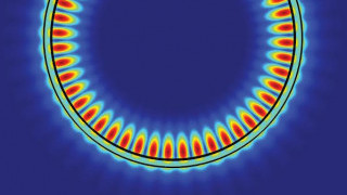 Tungsten Diselenide and the Future of Optoelectronics
