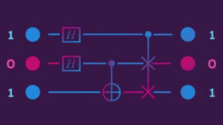 Explaining the Most Recent Record for Quantum Computing: A 51-Qubit Quantum Computer Array