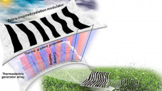 Inspired by Zebra Stripes, Researchers Solve Size Constraints of TEGs