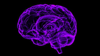 Is Artificial Intelligence a Modern Myth? Cognition Politics in a Computerized Society