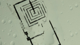 New Developments in Dissolvable Electronics Present New Horizons for Medical Devices