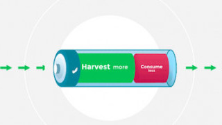 The Immortal IoT: How Energy-Harvesting PMICs and Low-Power MCUs Enable the “Infinite Battery”