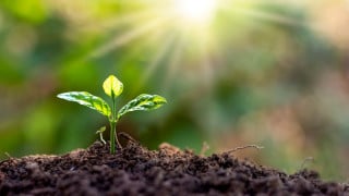 Why 90% of Component Compliance Issues Are Preventable (And How To Stop Them)
