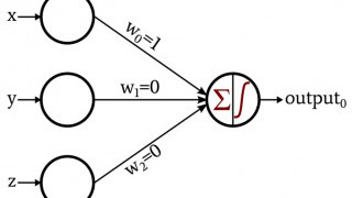 How to Train a Basic Perceptron Neural Network
