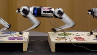Robot Highlight—Mini Cheetah Hits New Speeds