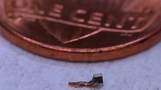 “Neural Dust” Sensors Could Lead to Implantable Wearables