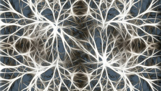 Computers Designed to Mimic Human Brains May Achieve Truly Intelligent AI