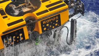 The Expanding Role of Aquatic Imaging and Robotics in Ocean Conservation