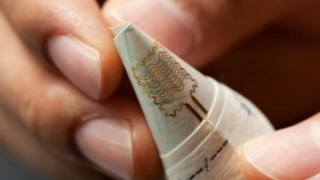 A Malleable Future: The Worth of Stretchable Electronics