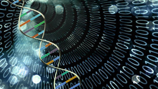 These Analog DNA Computers Could Potentially Stop Cancer