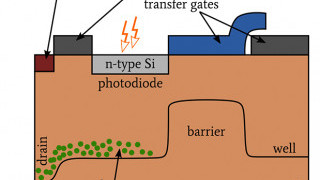 Understanding the Structure and Functionality of CCDs