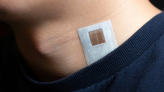 Ultrasound Patches Provide Continuous Imaging of Internal Organs