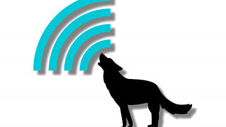 Is SSH Security the Future of Embedded Devices? A Talk with wolfSSL Senior Engineer, John Safranek