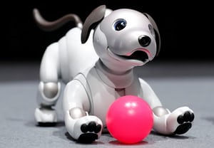Paro and AIBO Robots Offer Human-Digital Companionship