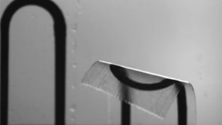 3D-Printed Heart-on-a-Chip Can Predict Efficacy of Pharmaceutical Drugs